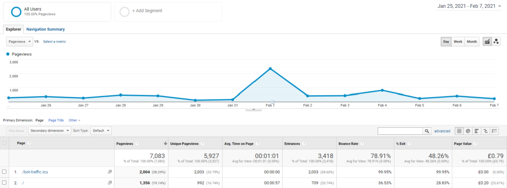 Google Analytics report with spike on 1 February 2021