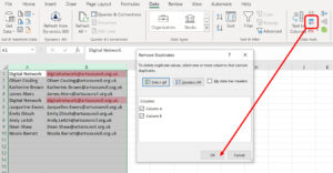 Screen shot of the Remove Duplicates function 