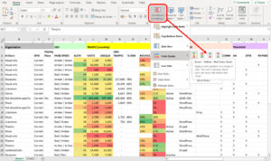 Screen shot of the Conditional Formatting function 