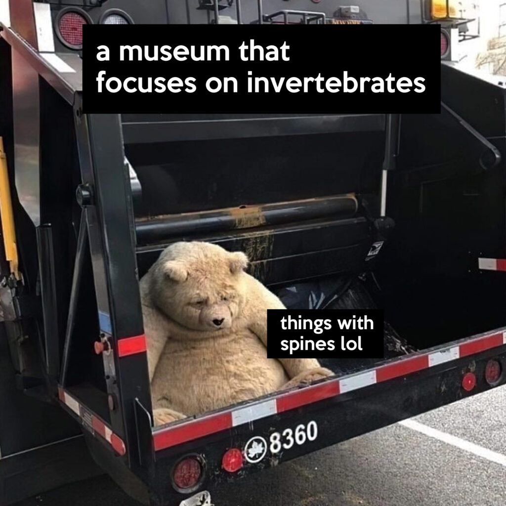 A large teddy bear is slouched in the back area of a rubbish truck. Above the teddy a caption reads "a museum that focuses on invertabrates". Next to the teddy is a caption that reads "things with spines lol".